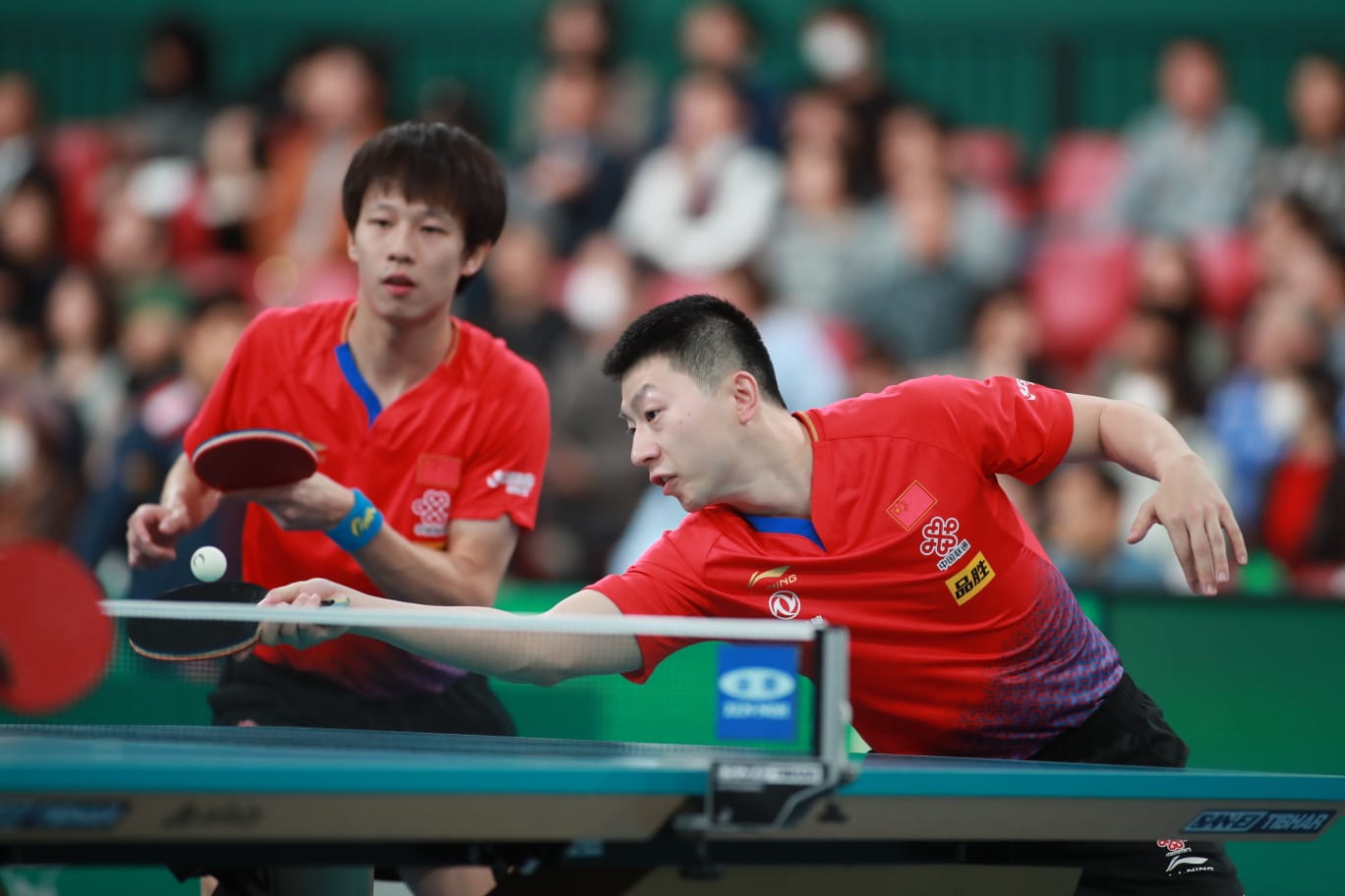 葡萄牙队翻盘德国队,梁靖崑关键制胜的简单介绍 葡萄牙队翻盘德国队,梁靖崑关键制胜的简单介绍