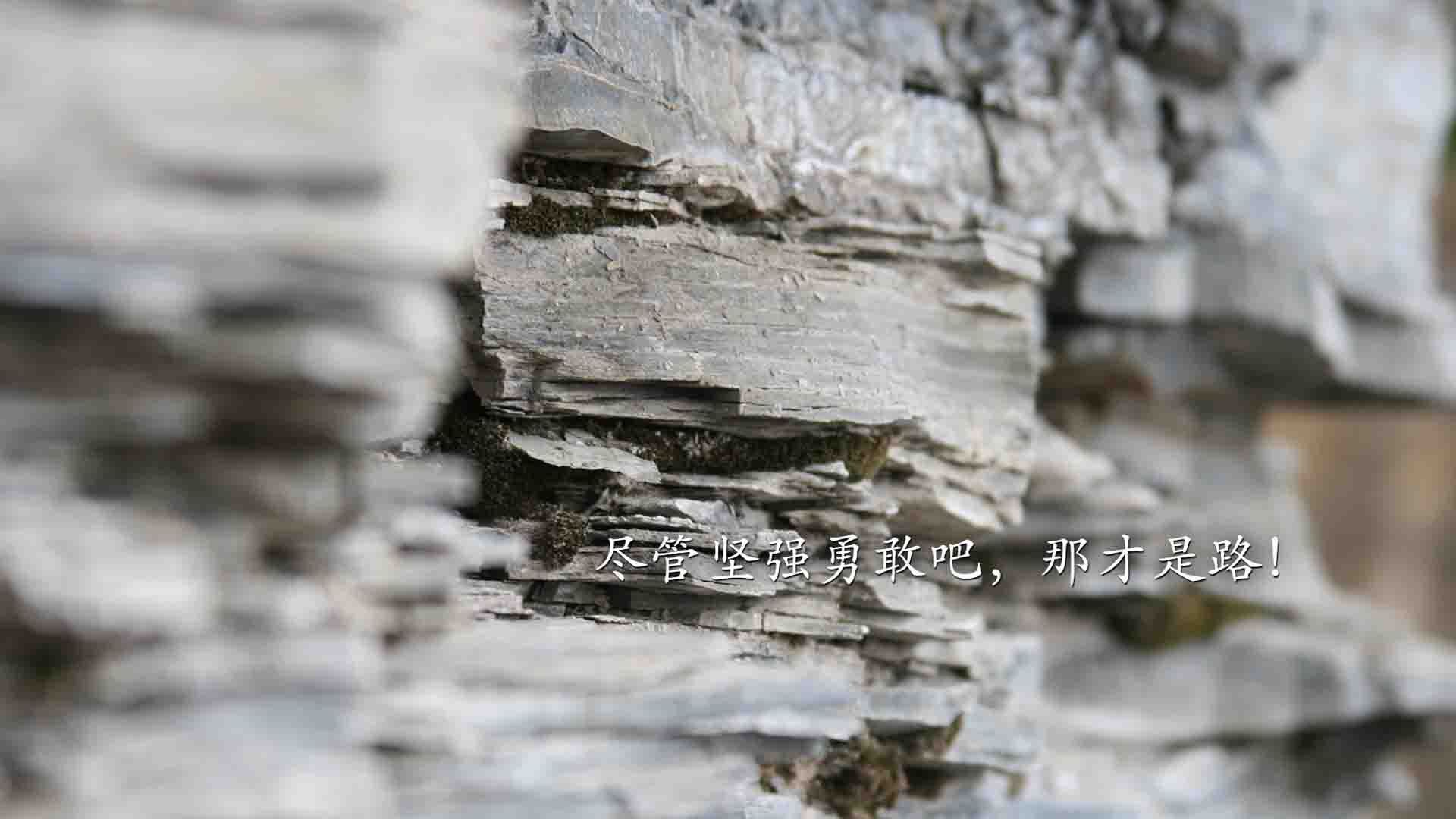 速度革命，当福克斯证明自己，独行侠已经踏平太阳