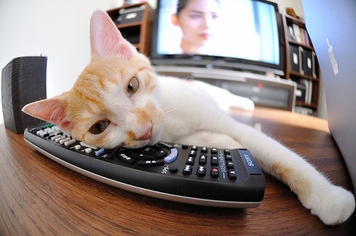 他一人改写整个赛季！年度焦点之战，小贾伦如何击碎不败金身，掀起团队风暴？