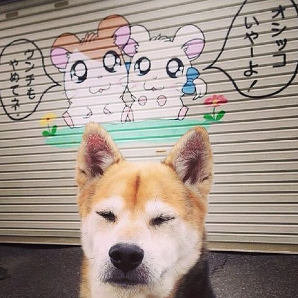 跨越时空的逆转，新疆顽强翻盘，拉文末节23分锁定年度之战