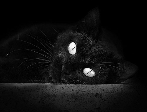 足球场上的国际博弈,厄瓜多尔封锁摩洛哥,李刚仁德甲争冠战接管比赛