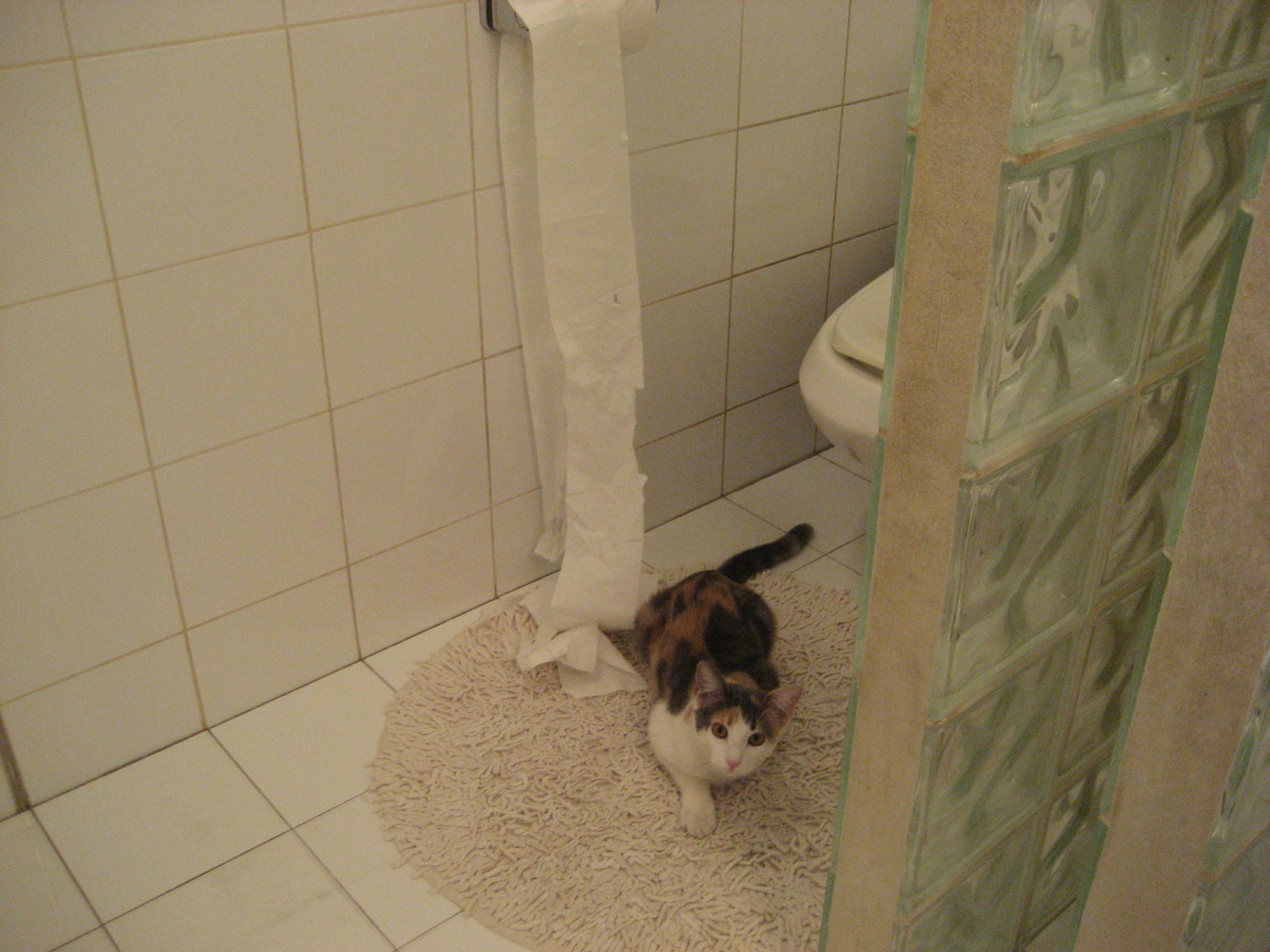 当节拍器成为唯一主宰,若日尼奥的压制艺术与奥地利的节奏革命