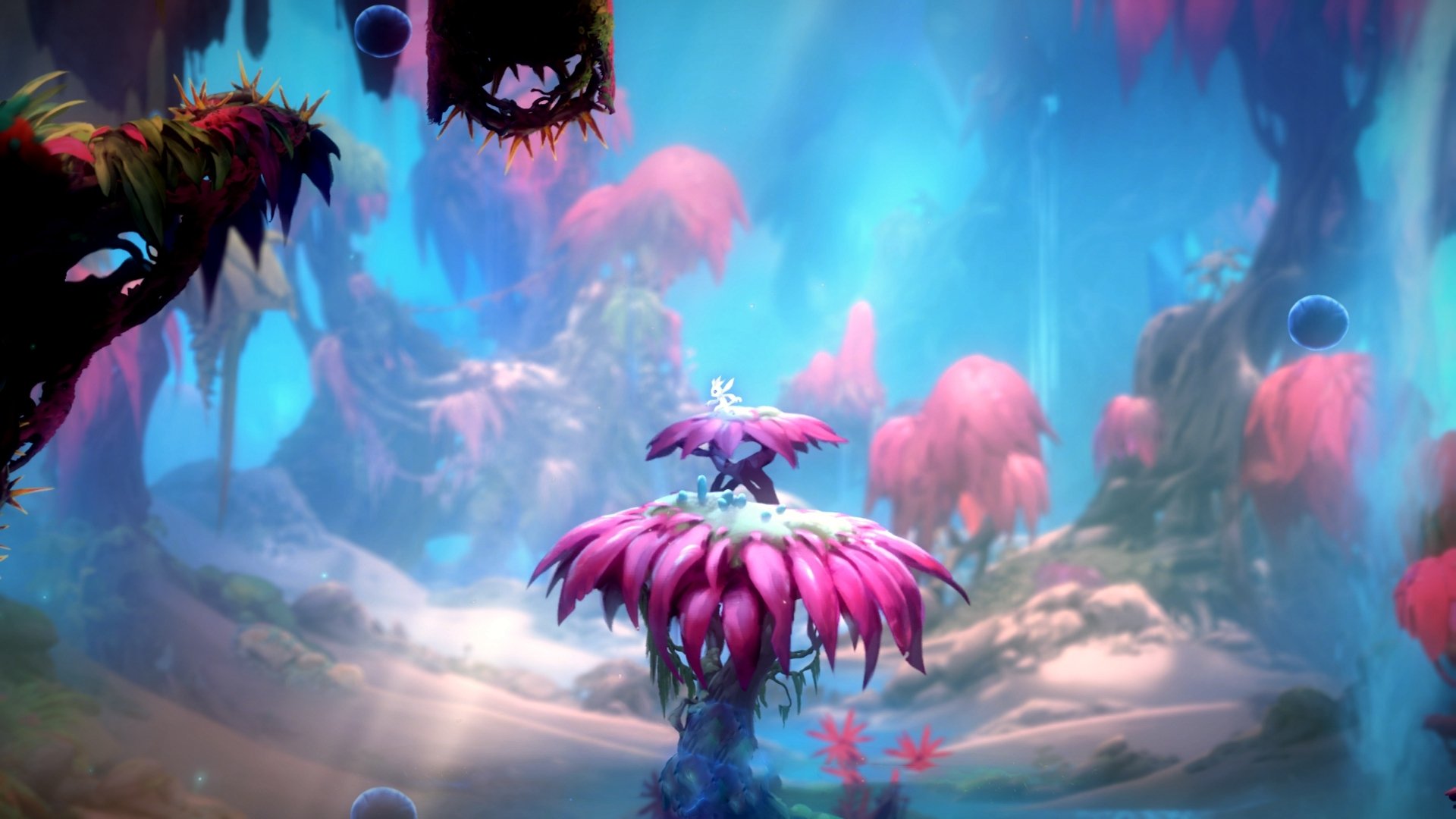 大桥横贯东西,当布鲁克林风暴席卷深圳海岸