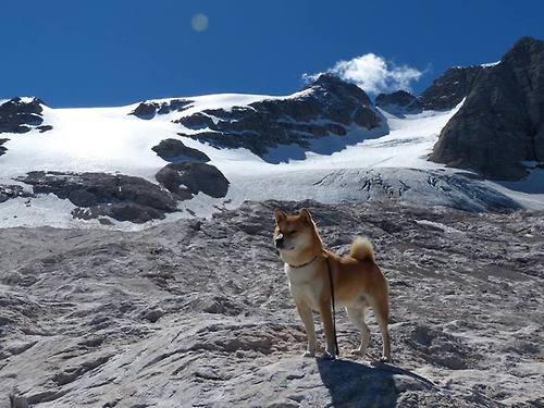 开云下载-破界者锡安，奥运周期关键战之夜的超维制胜