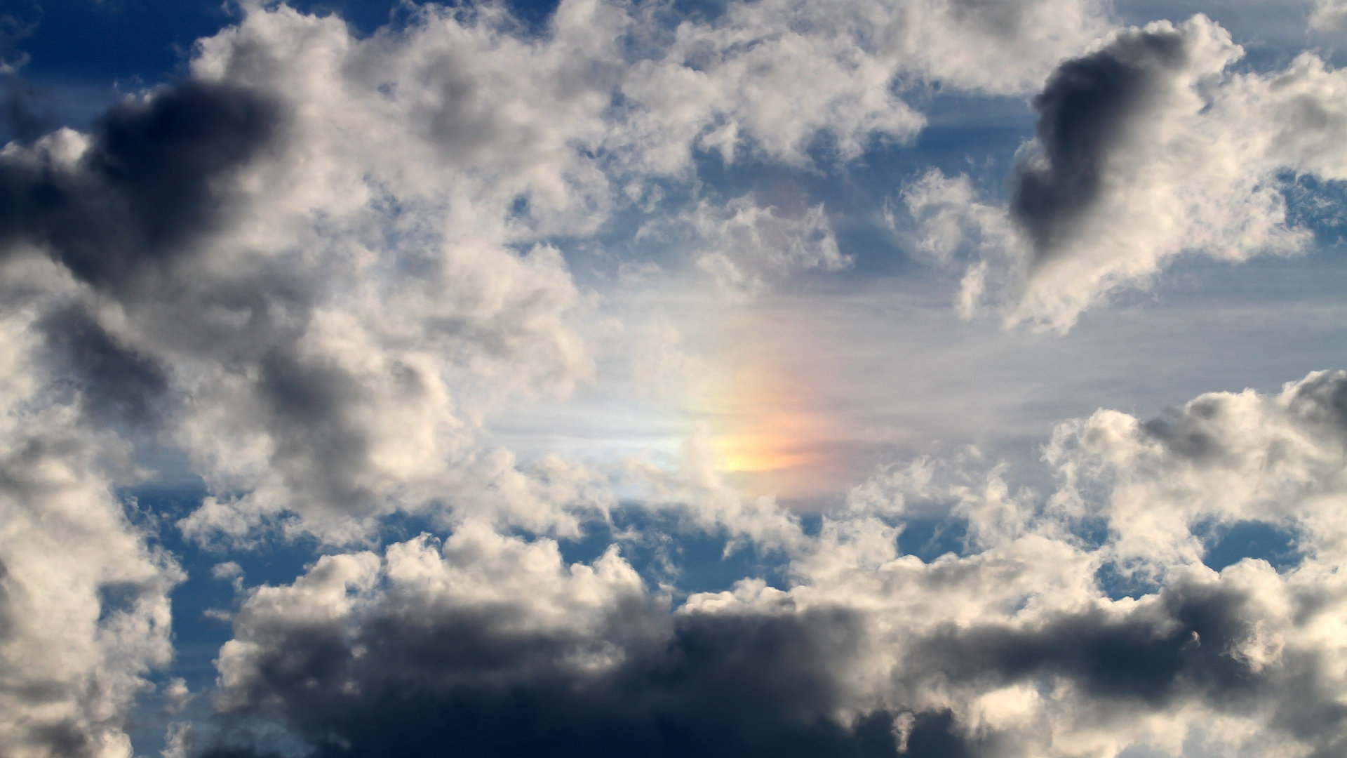 一图胜千言，恩比德数据艺术展，开拓者轻取老鹰