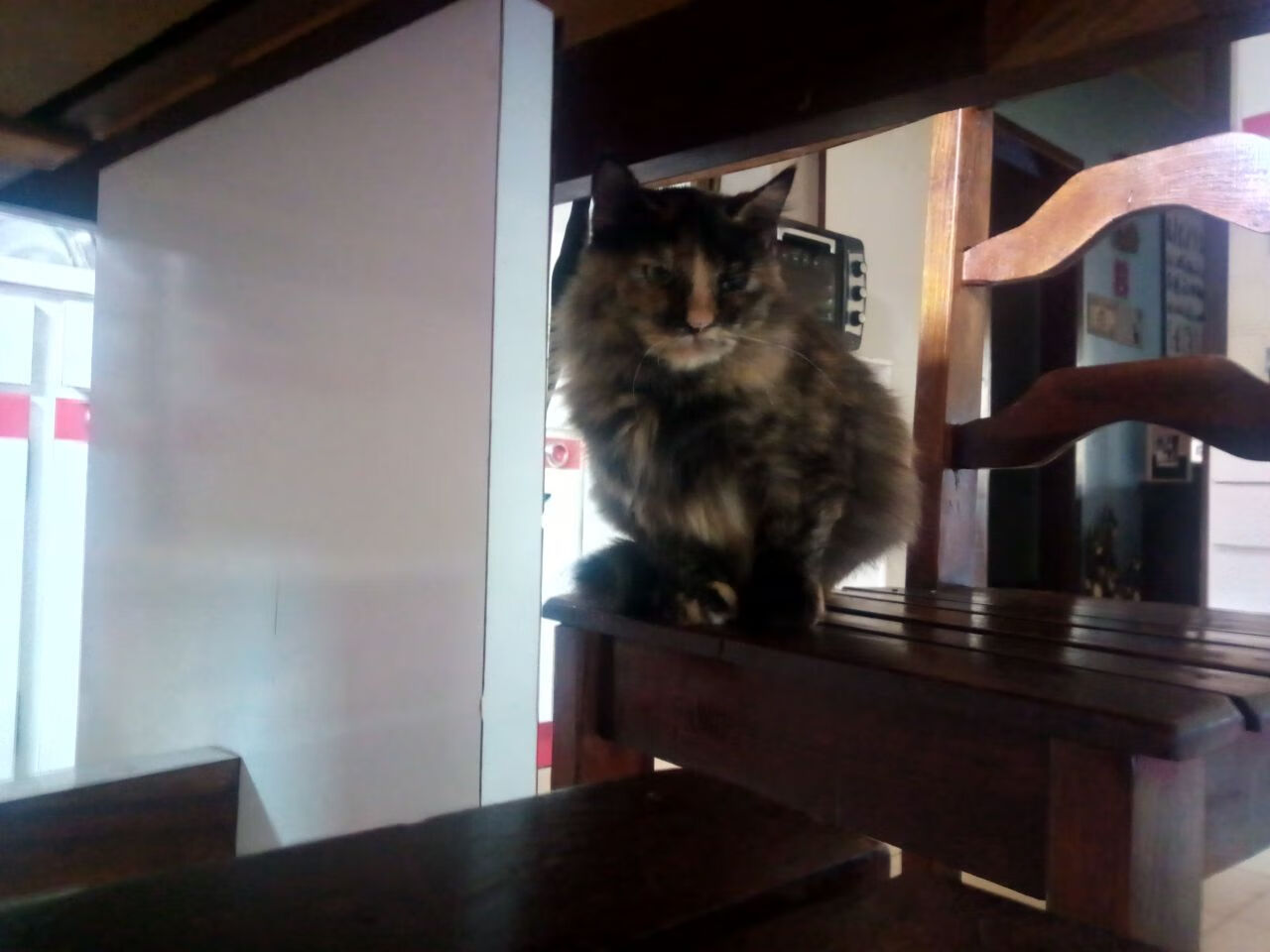 欧冠决赛夜，福克斯的利爪，撕裂了悬念