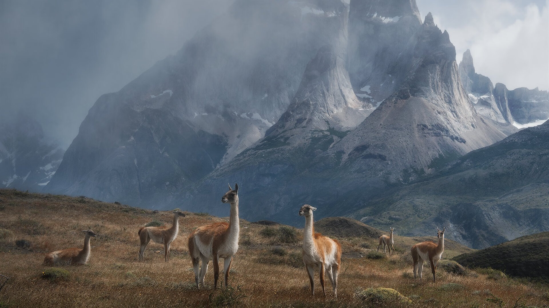 跨界之神降临，足球巨星黄喜灿的NBA总决赛奇幻夜