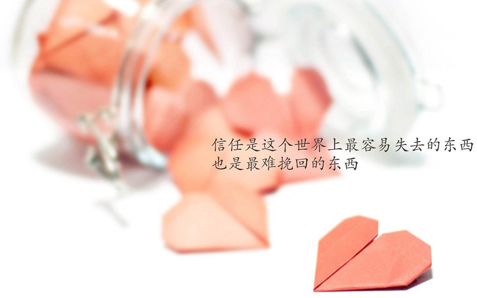 当桑巴沉入富士山影，2026世界杯B组的神谕之夜