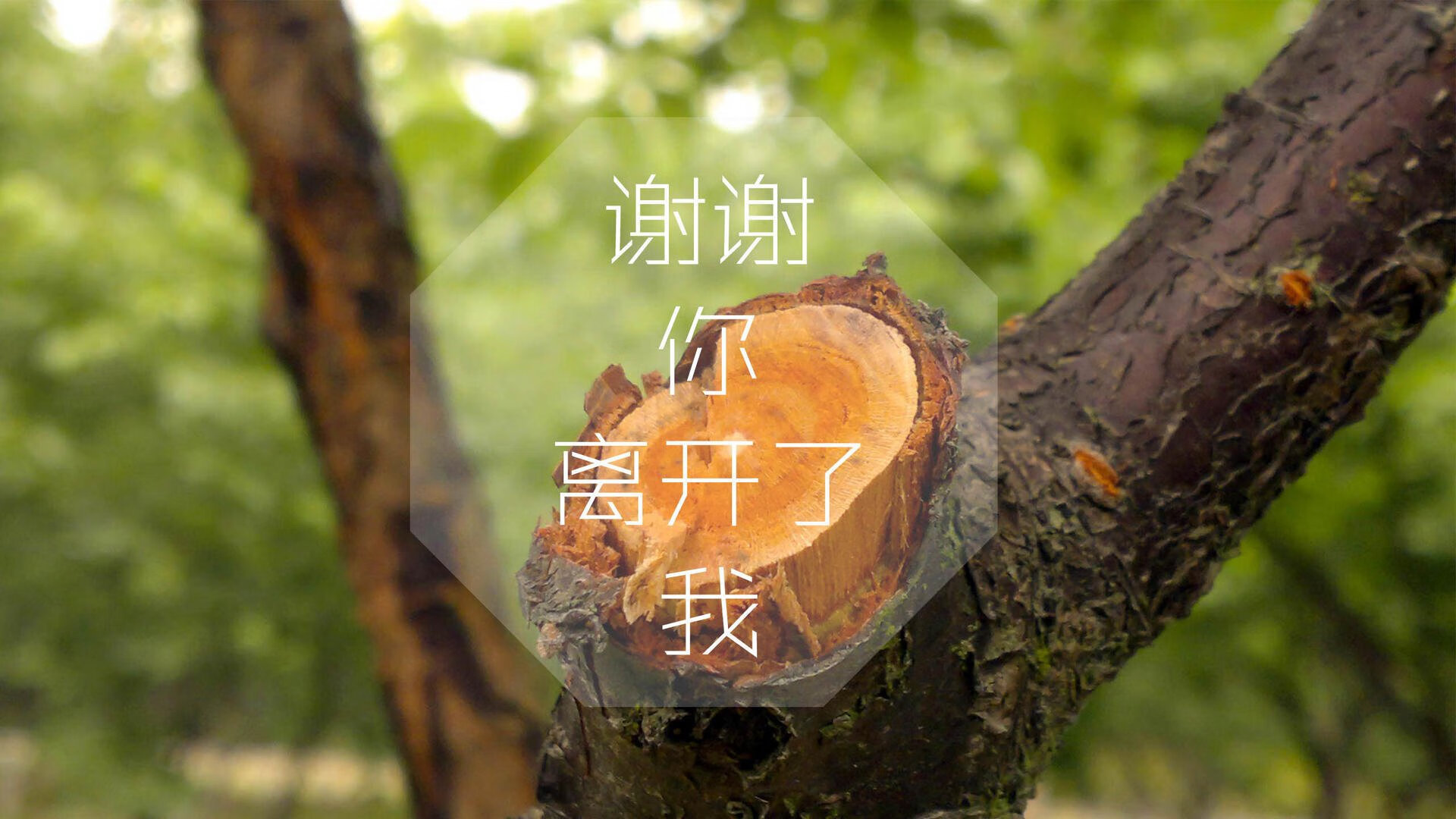 北纬一度冰封之战,坎塞洛一剑封喉,厄瓜多尔在生死边缘凿穿北欧神话