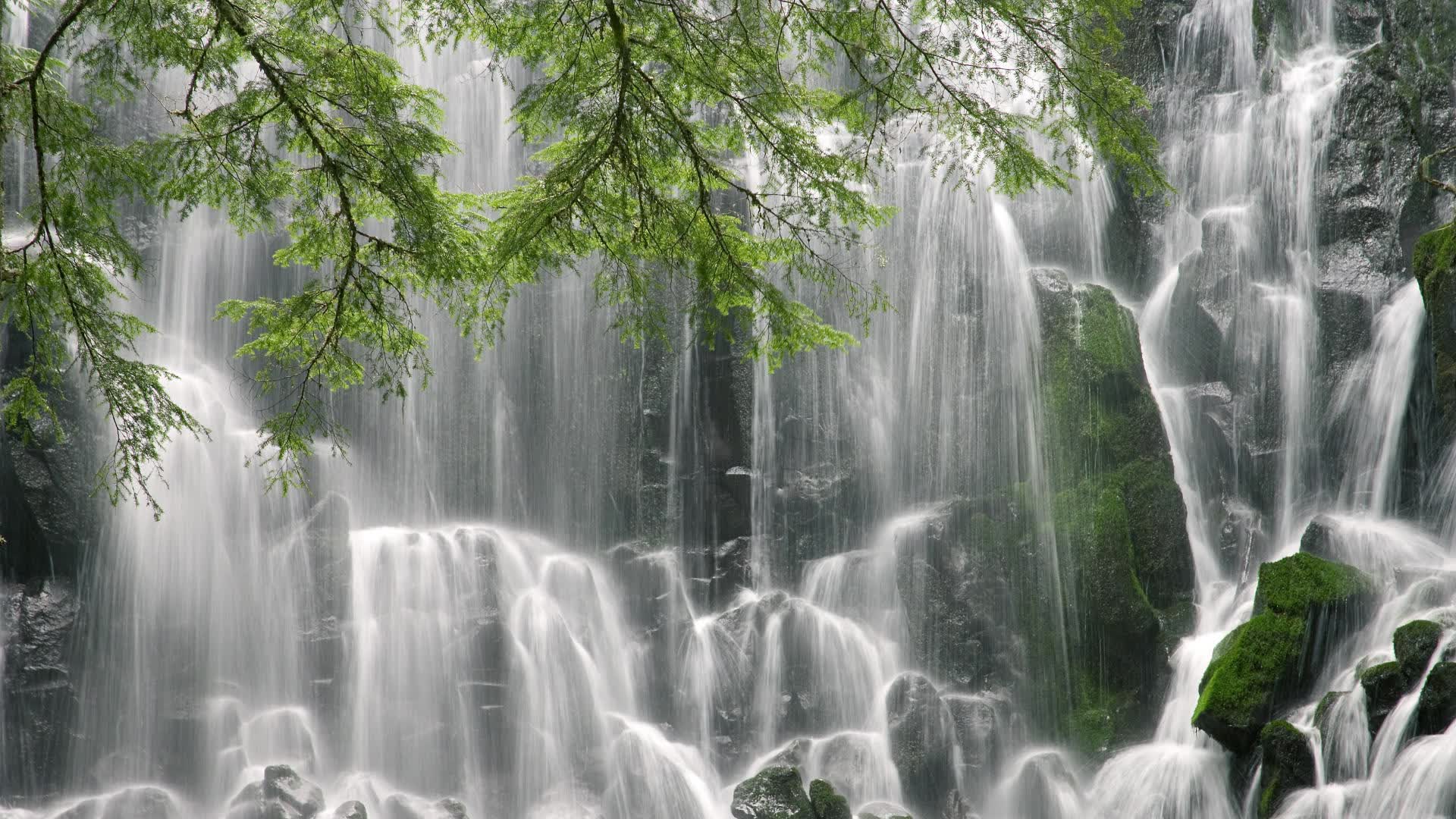 开云体育登录-沙漠风暴中的孤星，2026世界杯D组，C罗以一人之力改写斯洛伐克与伊拉克的宿命对决